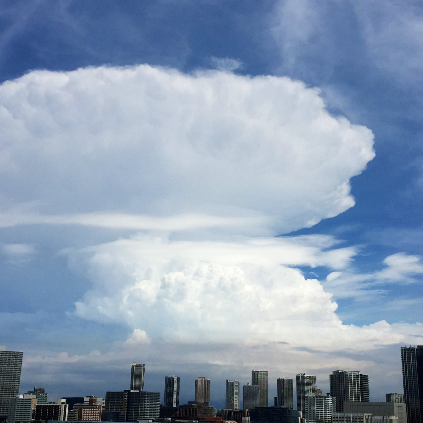 気象予報士がタドる空の魅力　vol.4 「カナトコ雲は何のサイン？」