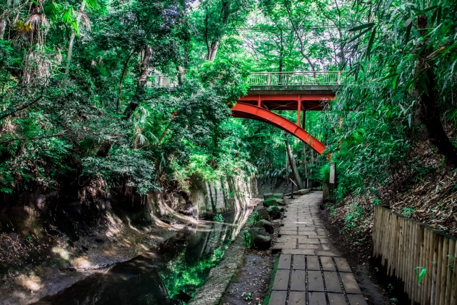 駒沢オリンピック公園