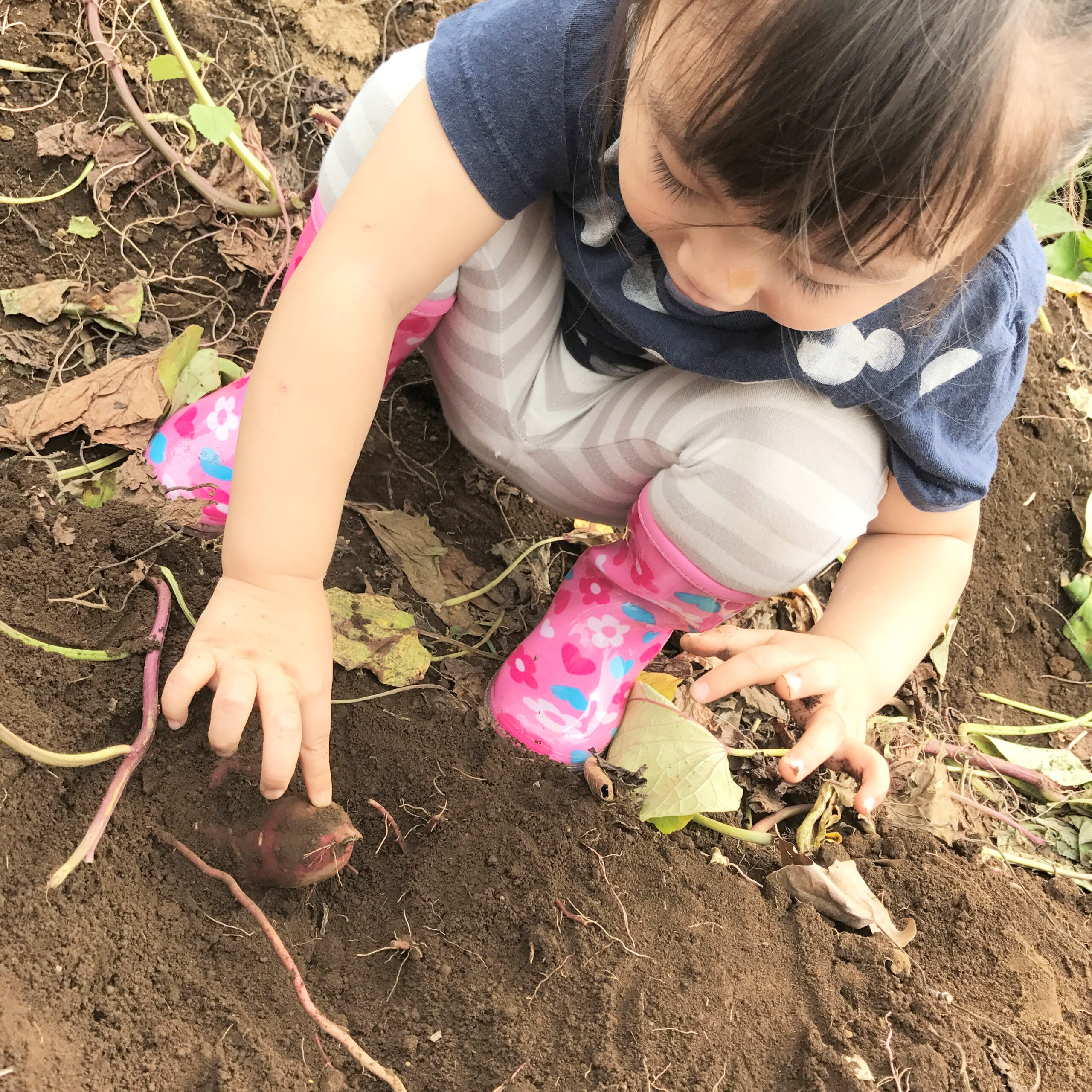 野菜嫌いも克服できる&#x2049;旬を楽しんで親子で「食エコ」
