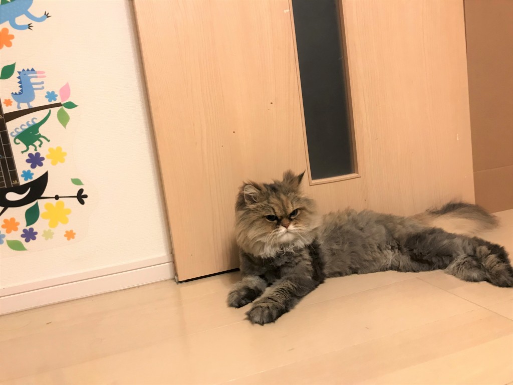今すぐできる、エアコンの省エネテク４つ