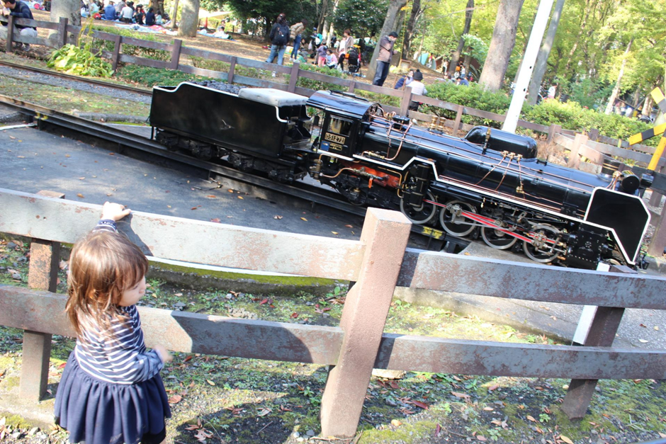 世田谷公園は子どもも大人も楽しい！