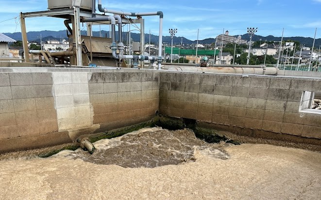 せめて綺麗にして返そう。四人家族、約5年分の水を使う側の責任。