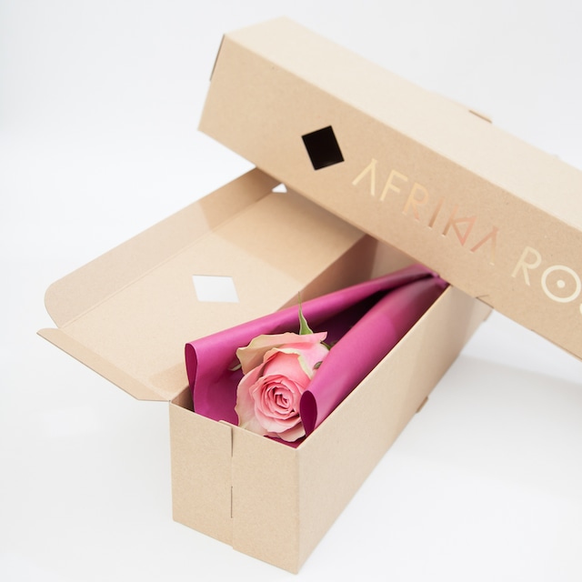 アフリカローズ 1輪ギフトBOX