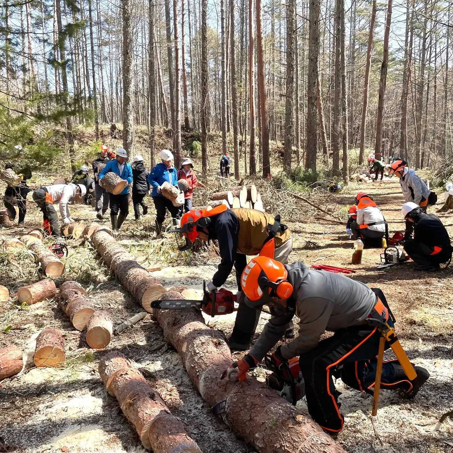 【寄付】「KK60 ～コイズミ記念館～ KYOKO KOIZUMI TOUR 2026」　明日の森プロジェクト