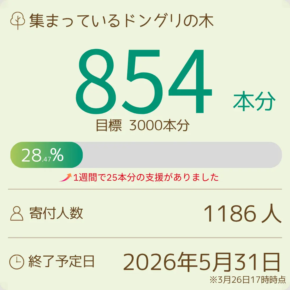 【寄付】「KK60 ～コイズミ記念館～ KYOKO KOIZUMI TOUR 2026」　明日の森プロジェクト