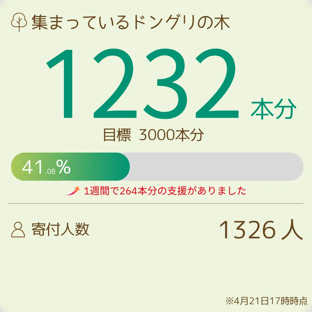 【寄付】「KK60 ～コイズミ記念館～ KYOKO KOIZUMI TOUR 2026」　明日の森プロジェクト