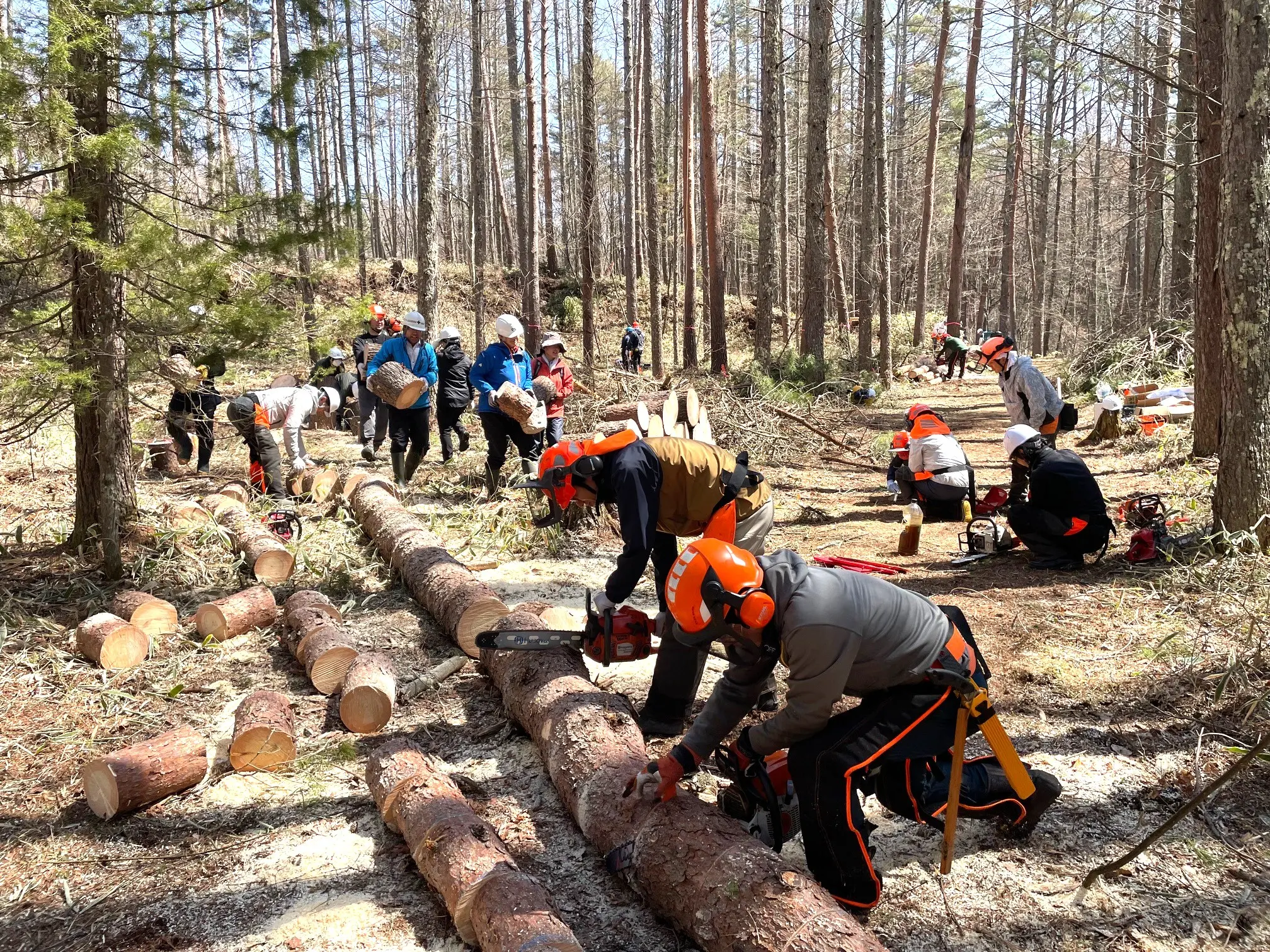 【法人協賛/寄付】「KK60 ～コイズミ記念館～ KYOKO KOIZUMI TOUR 2026」　明日の森プロジェクト