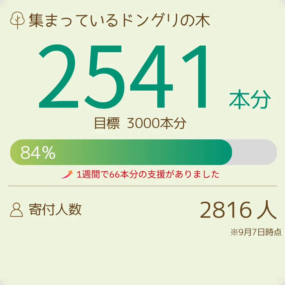 【法人協賛/寄付】「KK60 ～コイズミ記念館～ KYOKO KOIZUMI TOUR 2026」　明日の森プロジェクト
