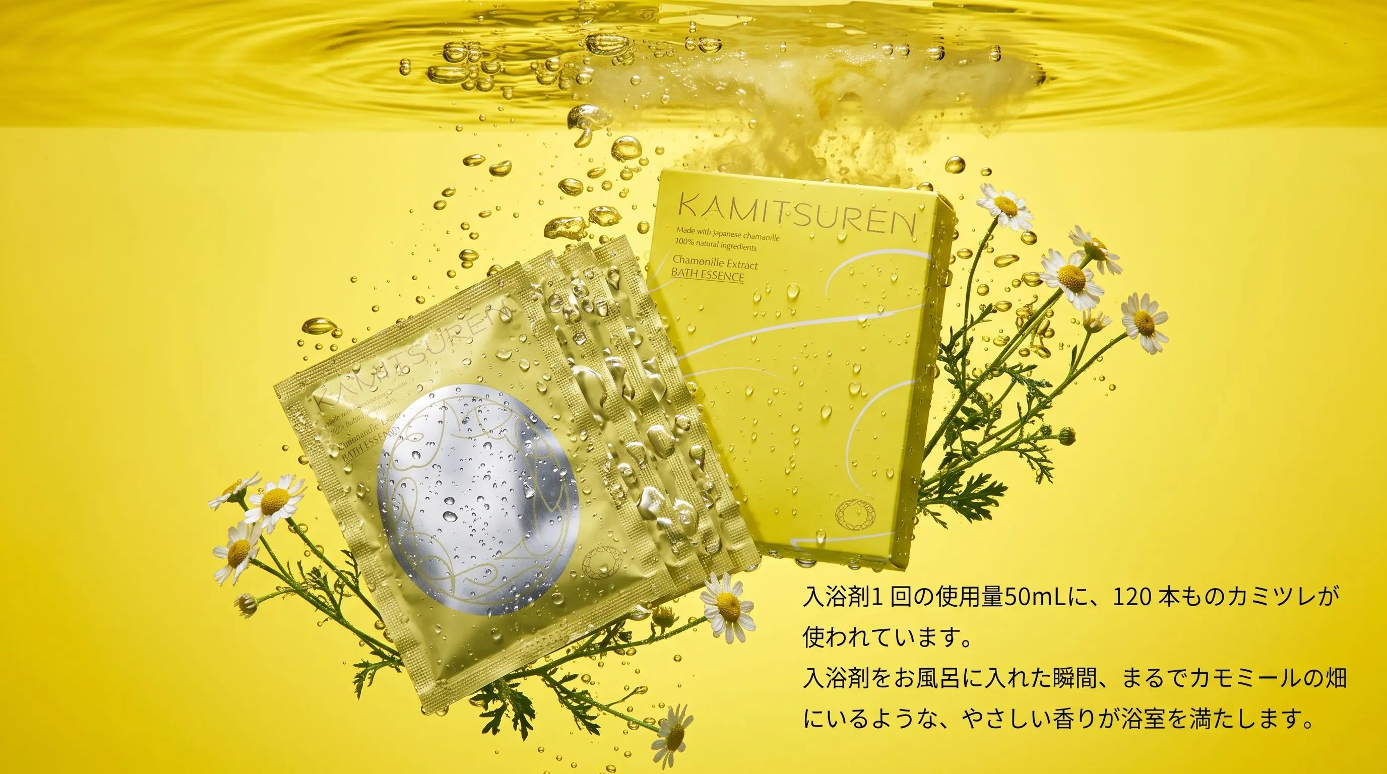【30個限定！送料込】森の夜をタドる便