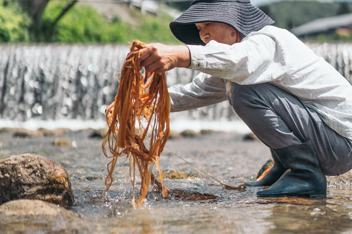 しな織の歯ブラシカバー