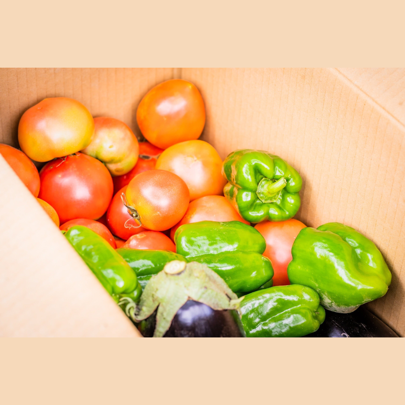 コボレナ厳選！野菜・果物セット