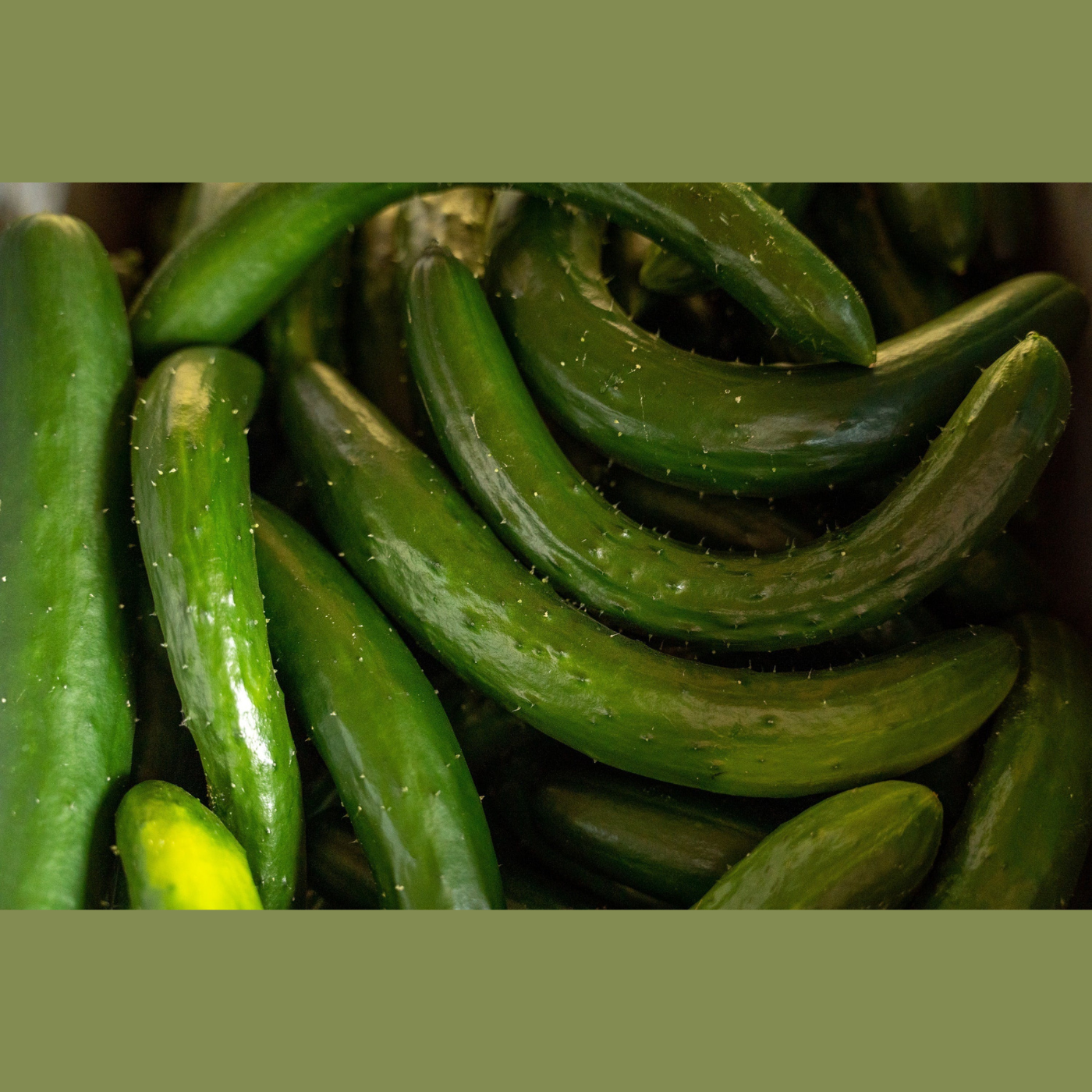 コボレナ厳選！野菜・果物セット