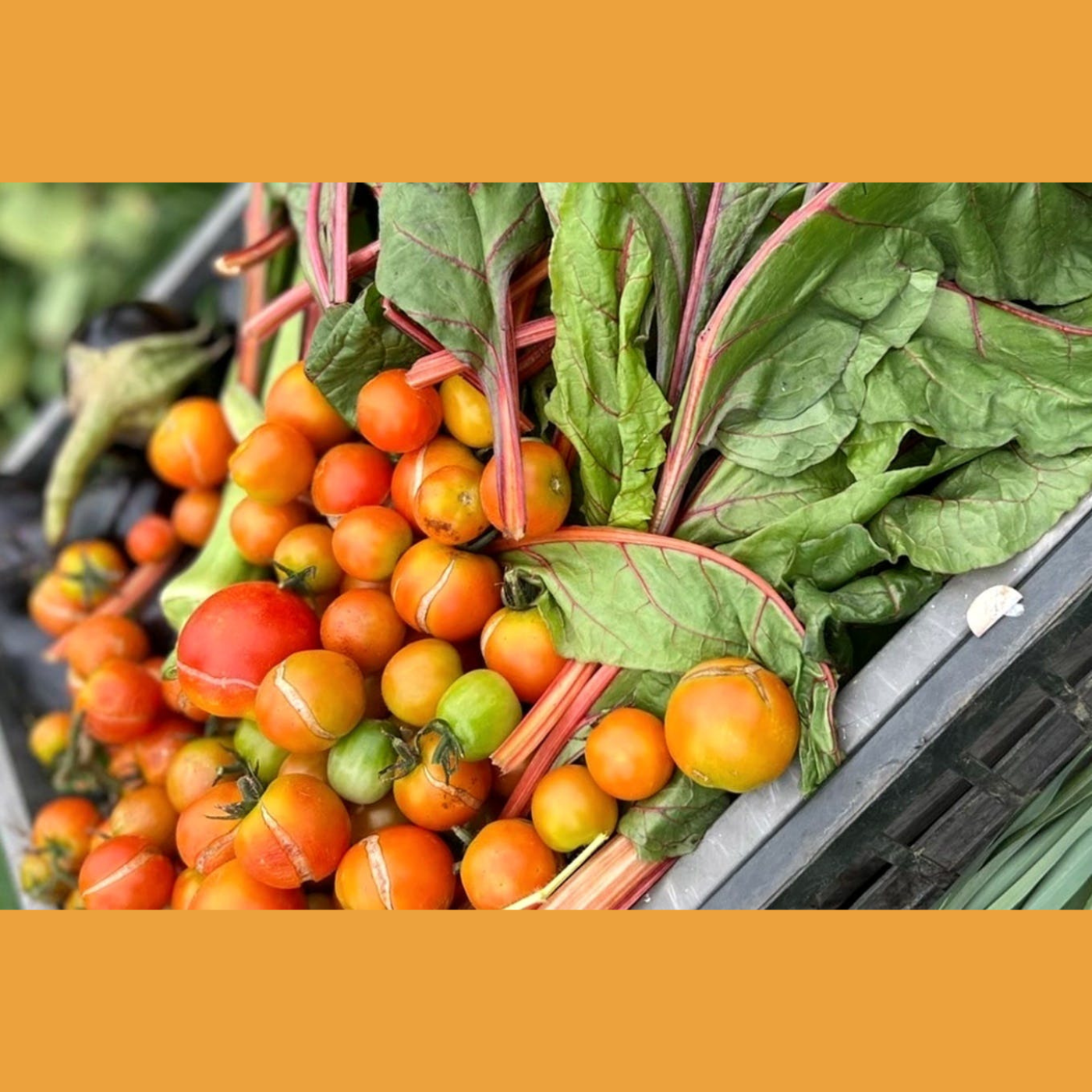 コボレナ厳選！野菜・果物セット