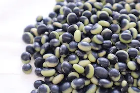 KURAKAKE HITASHIMAME