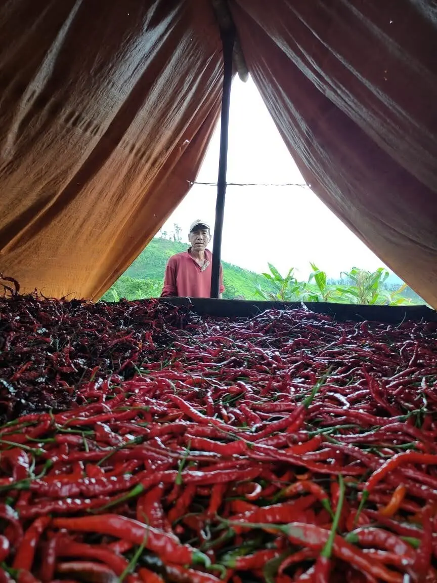 シララコン燻製唐辛子