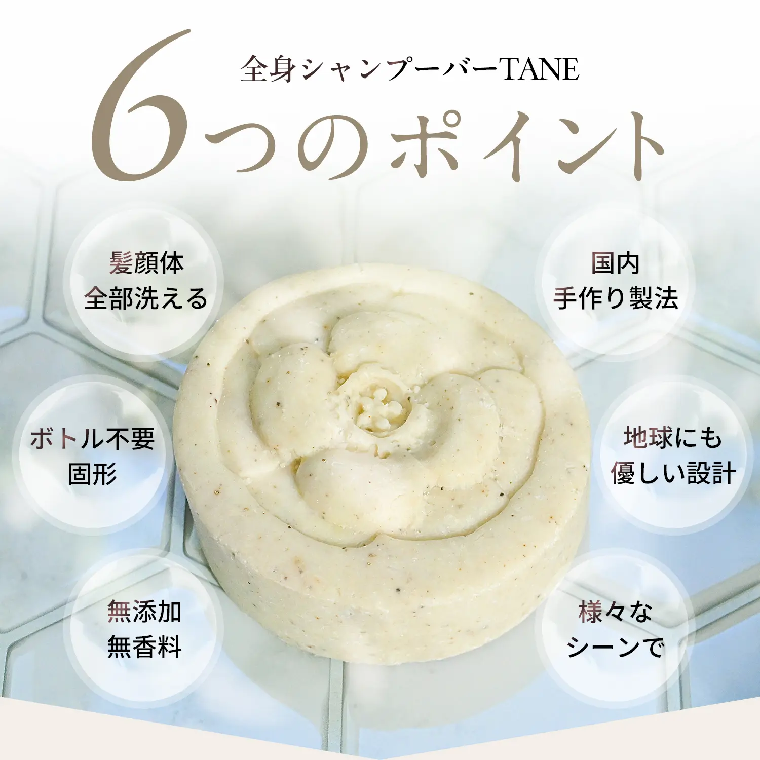 TANE全身シャンプーバー