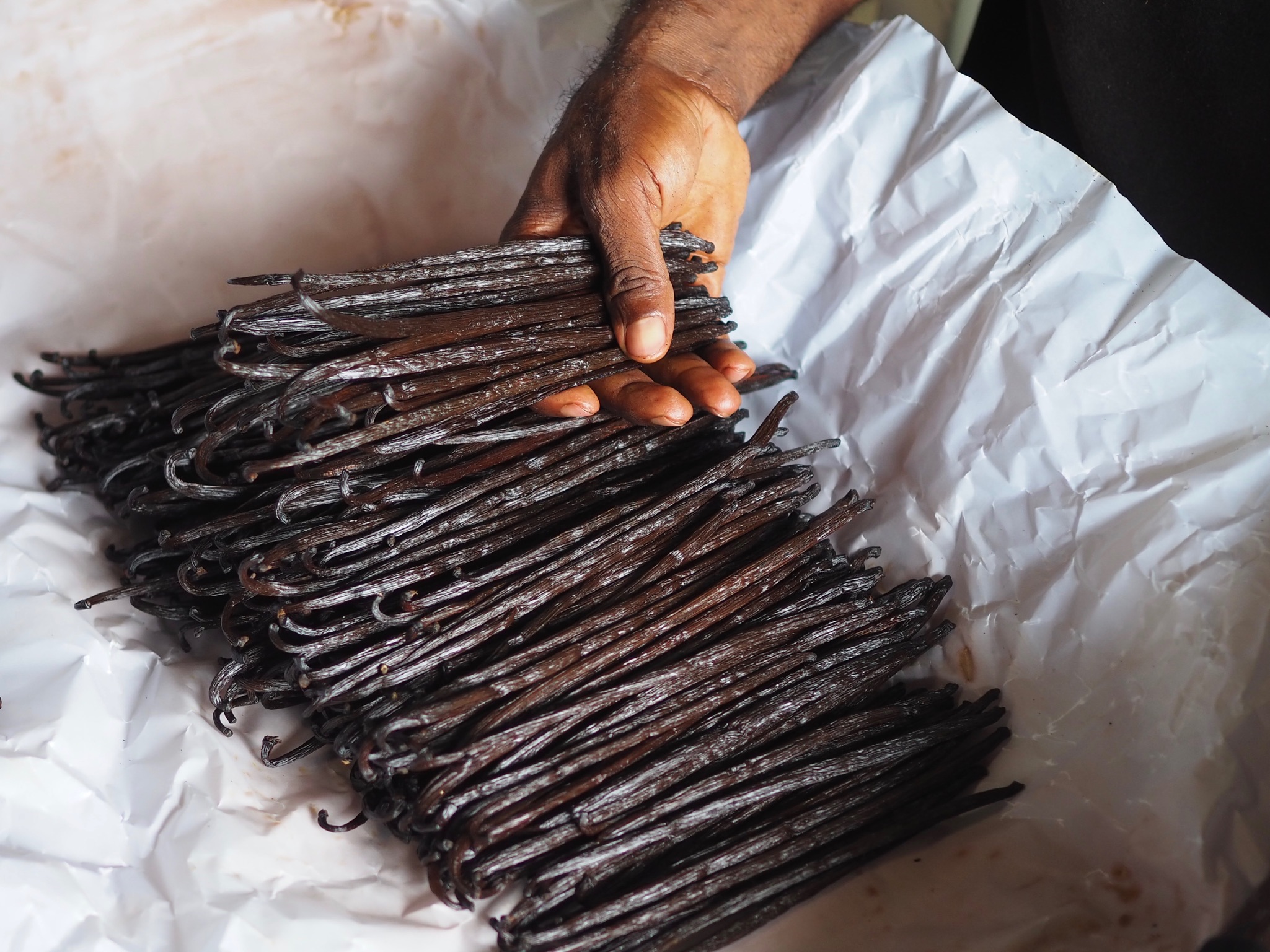 バニラが主役のシロップ
素材は、天然のバニラビーンズと北海道産のてんさいグラニュー糖のみ。
高品質なバニラビーンズをふんだんに使い、甘さだけでなく、華やかさやスパイシーさまで感じられる香りを引き出しました。
人工的な香りに頼らず、本物のバニラの奥行きある香りを楽しんでいただくためのシロップです。
■バニラビーンズのこだわり
Co•En Corporationは、アグロフォレストリー(※)で育てられた素材にこだわっています。
本製品に使用しているのは、マダガスカル産のアグロフォレストリーバニラ。
森林伐採が進むマダガスカルにおいて、「森を育てながら、暮らしを支える」この農法は、環境保全と農家の収入安定を両立する取り組みです。このシロップを選ぶことが、森と生産者を支える一歩につながります。
■フェアな取引でであること
生産者は、大切なビジネスパートナーです。価格変動の影響を受けやすい農作物だからこそ、サプライチェーン全体で負担と恩恵を分かち合う、誠実な取引を心がけています。顔の見える関係性の中で生まれた素材を、責任をもってお届けします。