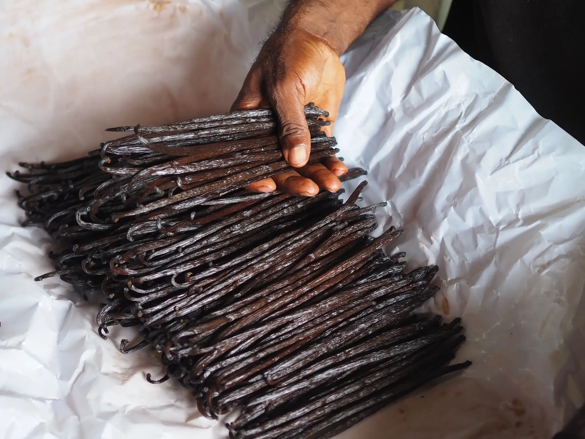 カカオバニラシロップ