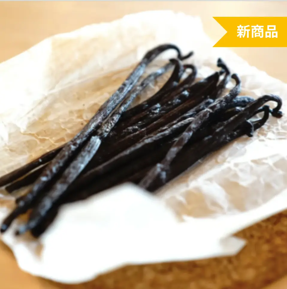 バニラビーンズ