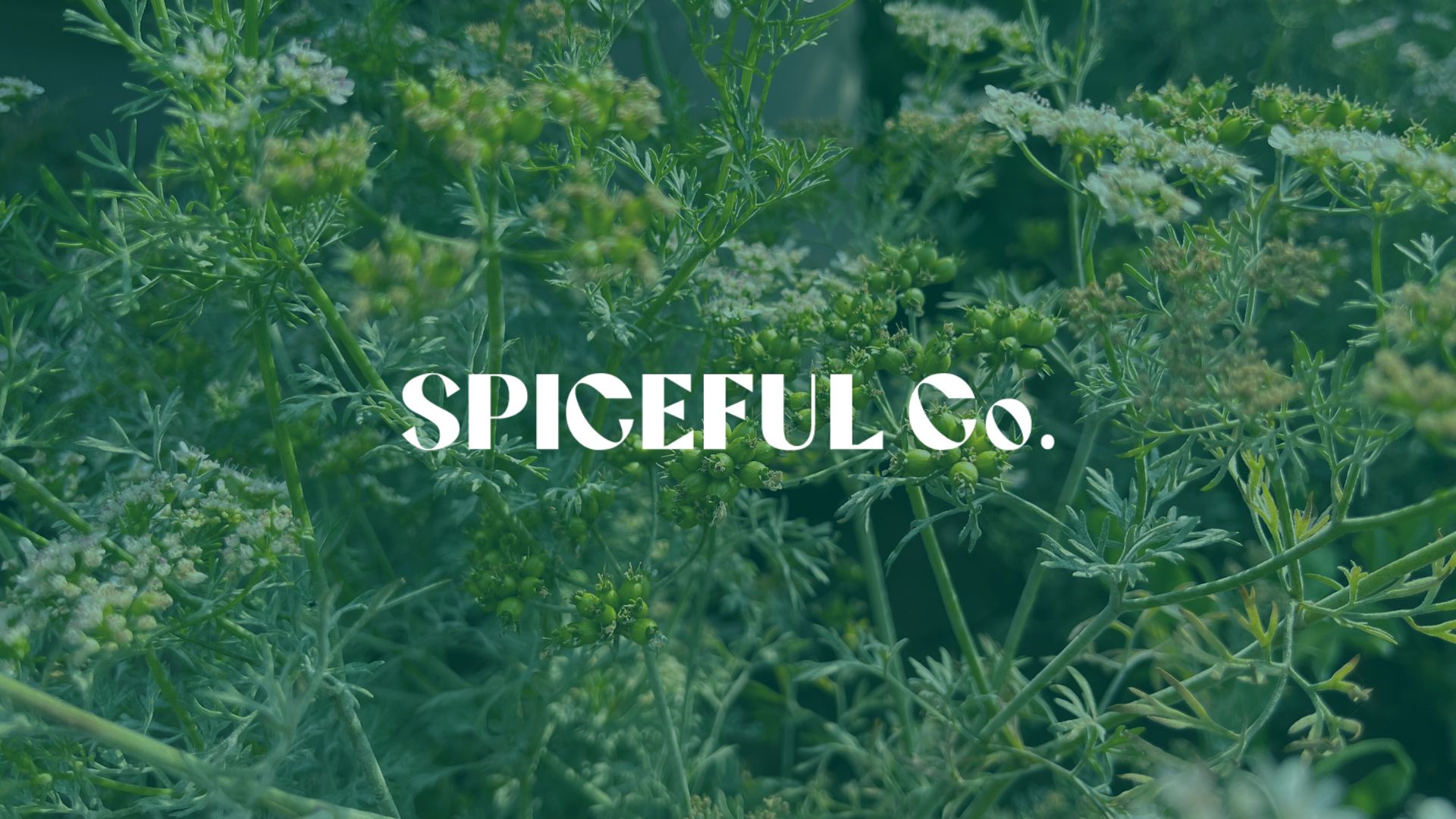 Spiceful Co.